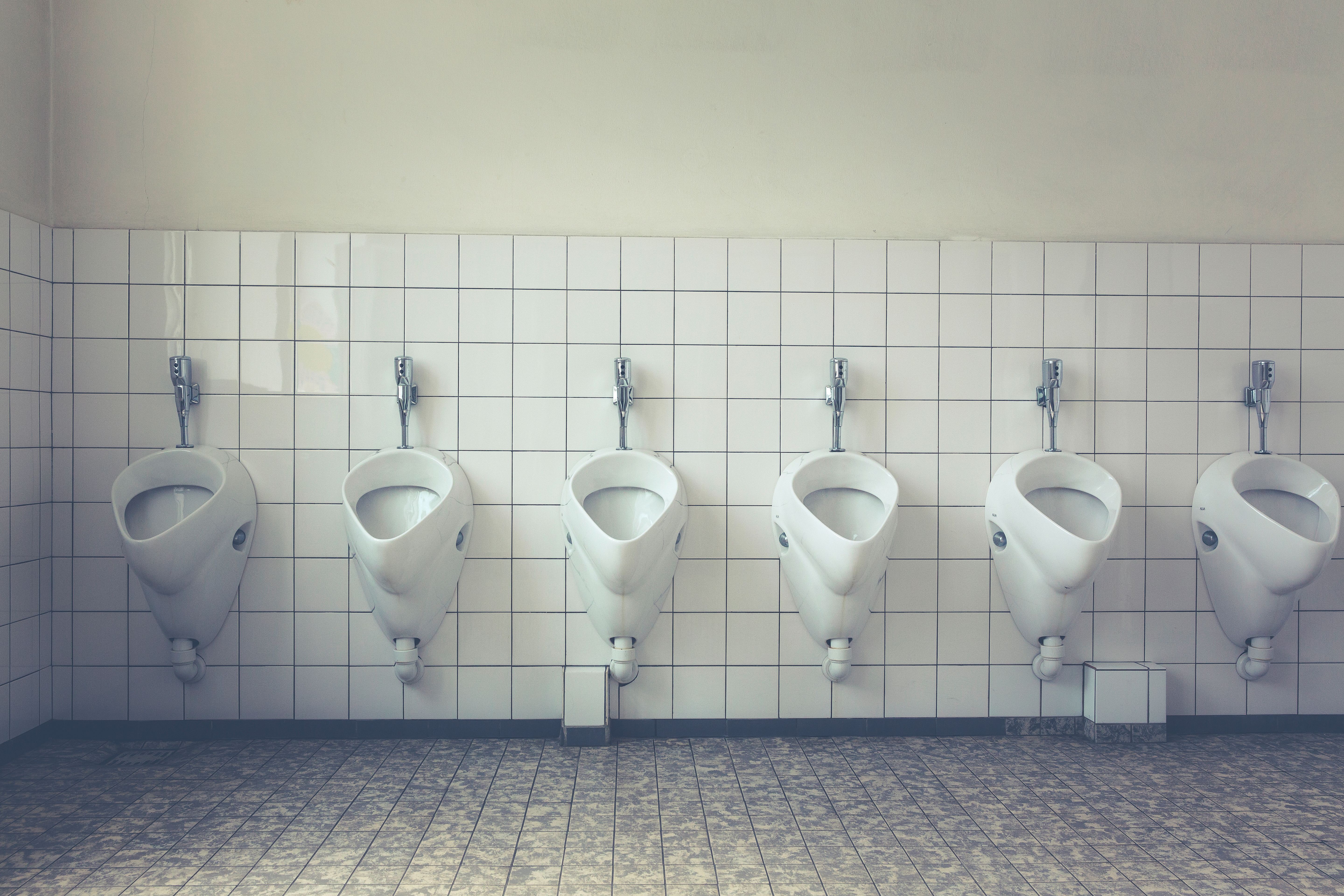 New school bathroom renovations